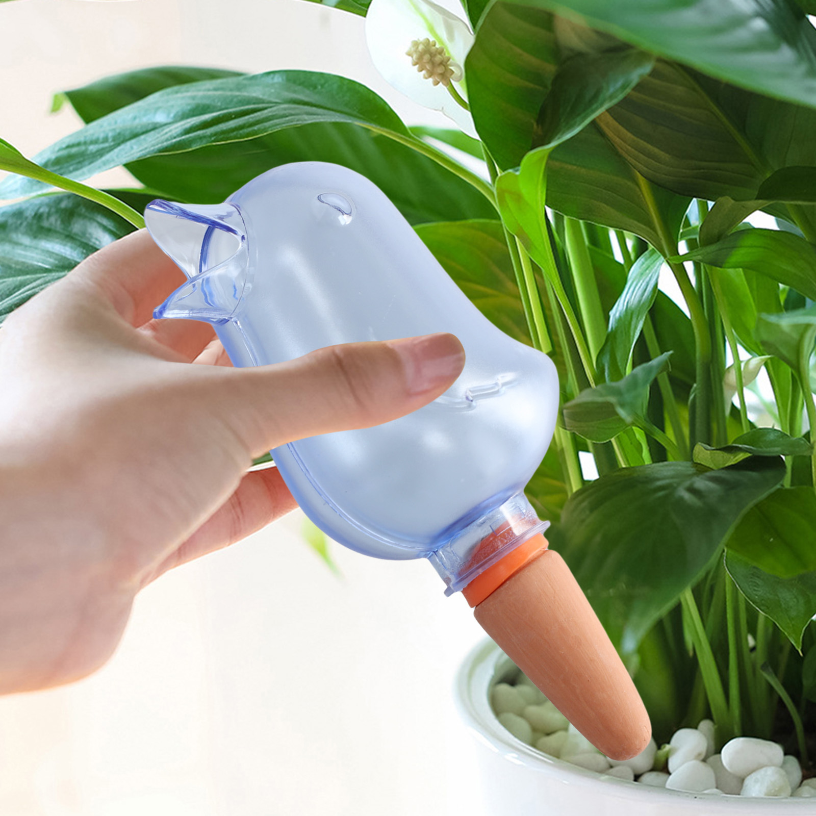 Pothos - Automatische Pflanzen Tropf Bewässerung System Vogel