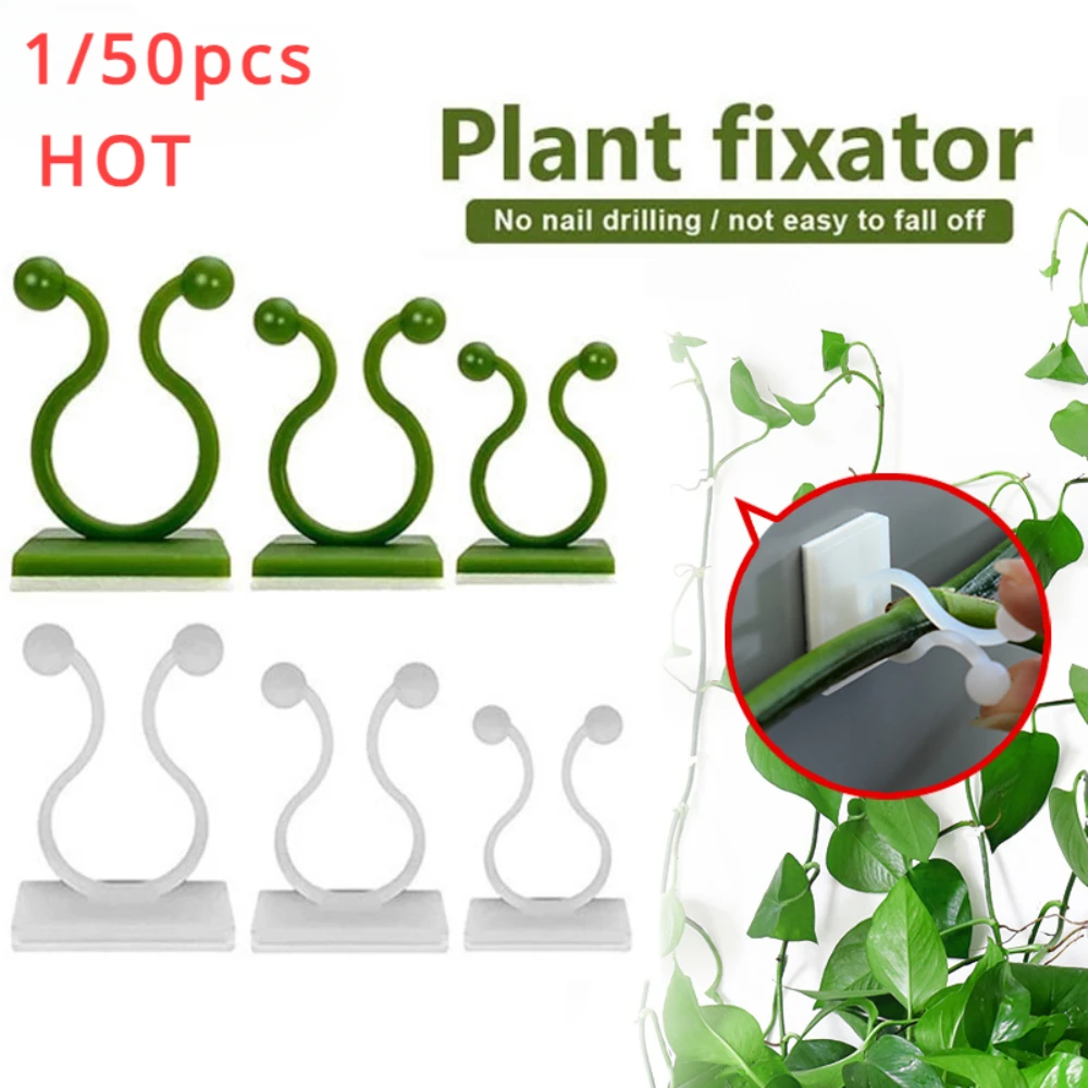 Plant Support Stake - 1/30/50 Stück für Gartenzubehör, Pflanzengartentöpfe und