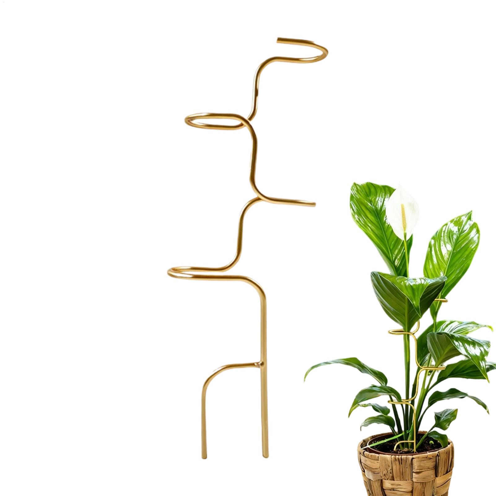 Plant Support Stake - Gartenpflanzen-Stielfixierungs-Stützrahmen Metall-Rosenstiel-Stützstäbe für Heimgärtner Orchidee Pfingstrose