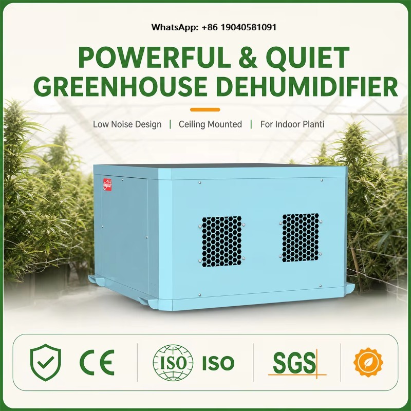 Indoor Plants - Leistungsstarker Gewächshaus-Luftentfeuchter Deckenmontierter Luftentfeuchter mit Niedrigem