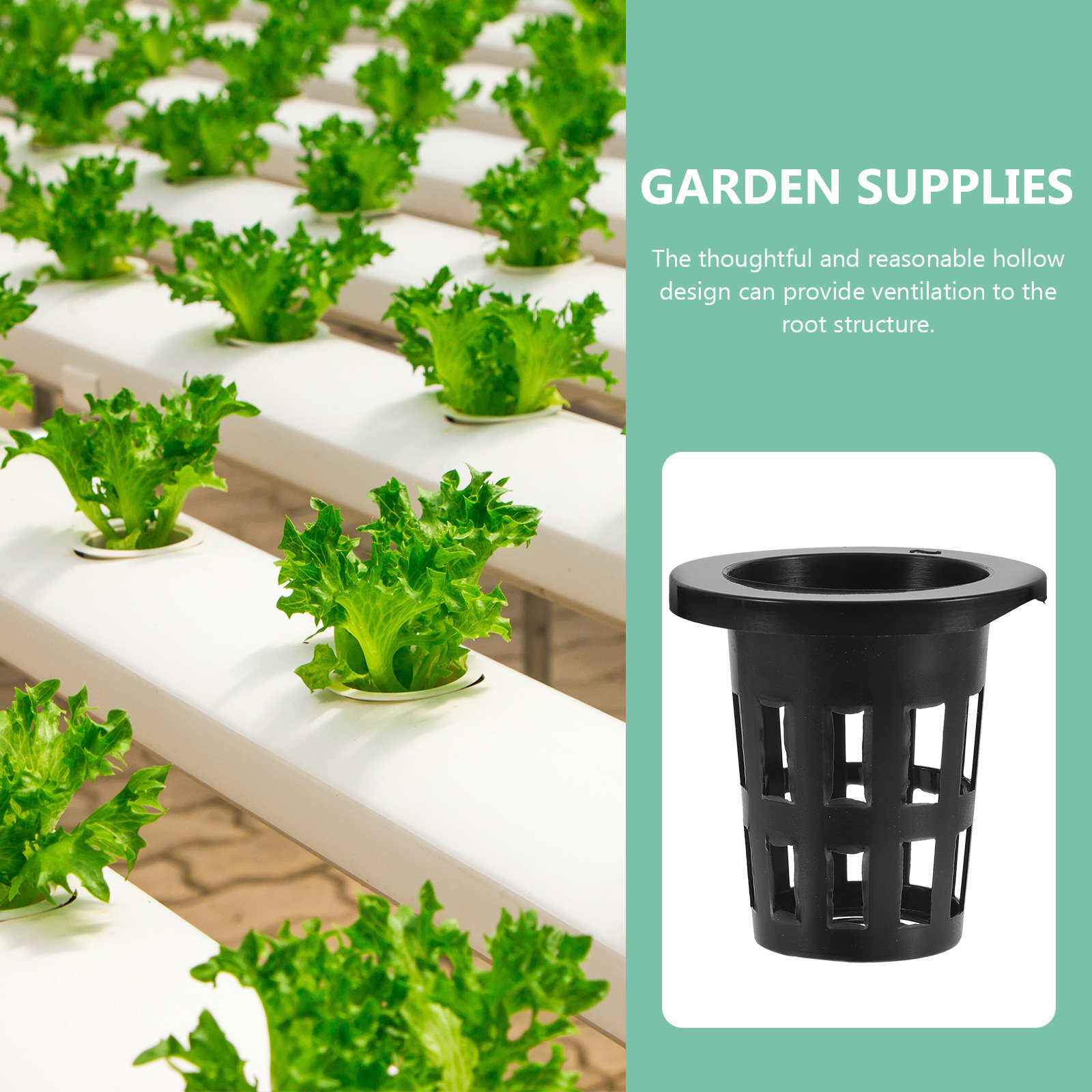 50 Stück Kunststoff-Pflanzkörb – Plant Pot Bewertung und Preis