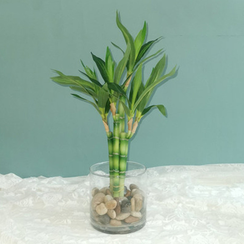 Neue 40cm Künstliche Glücksbam – Succulent Set Bewertung und Preis