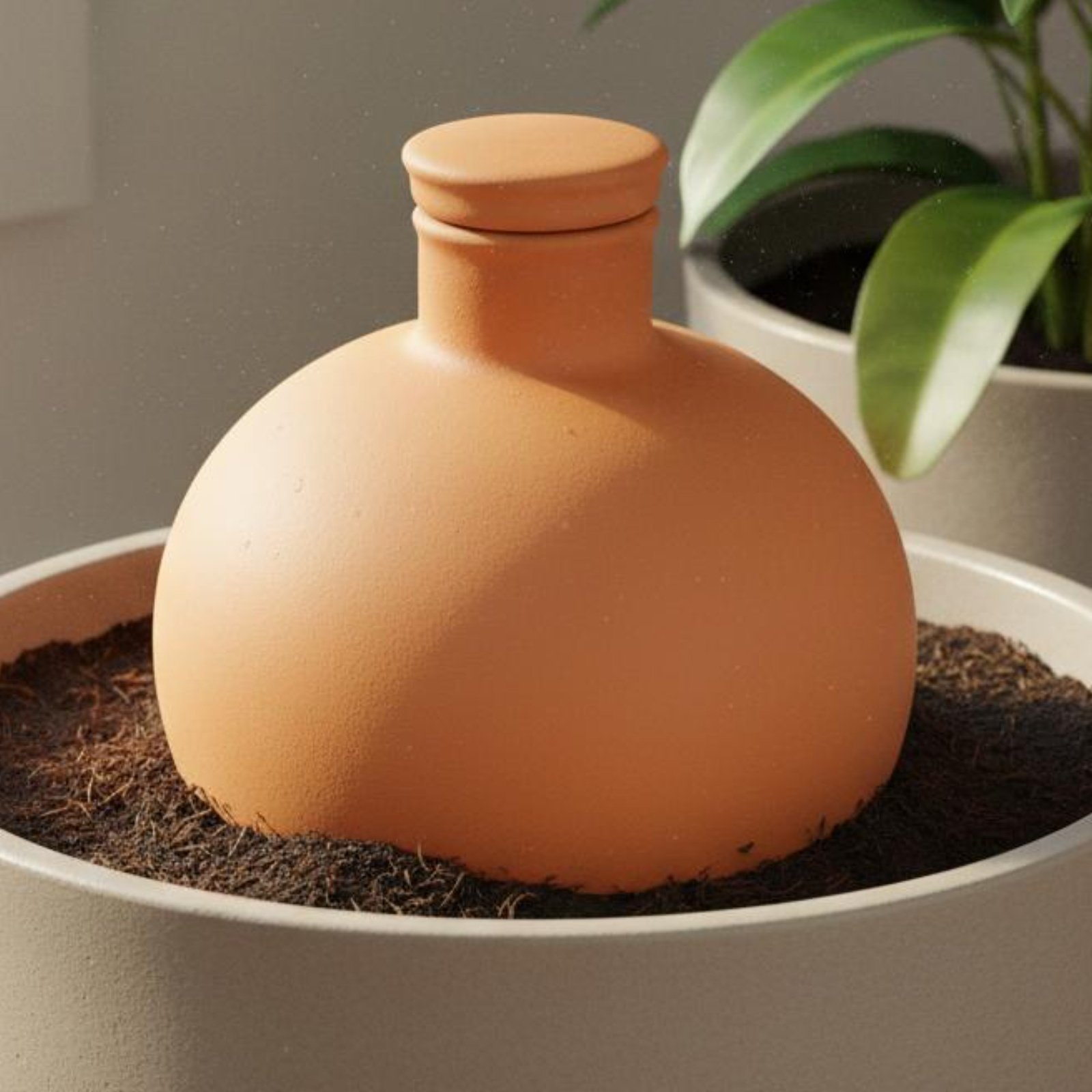 2 Stück Terrakotta-Olla, einfa – Terracotta Pot Bewertung und Preis