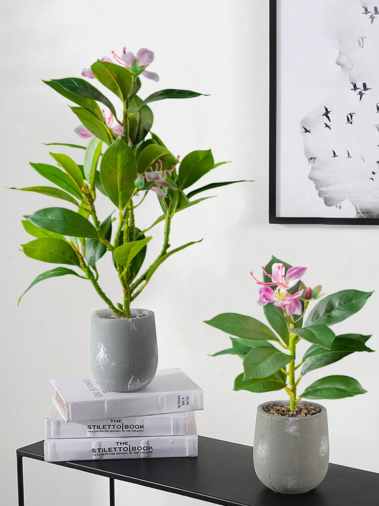 21–40 cm künstliche Azaleen-Pf – Snake Plant Bewertung und Preis