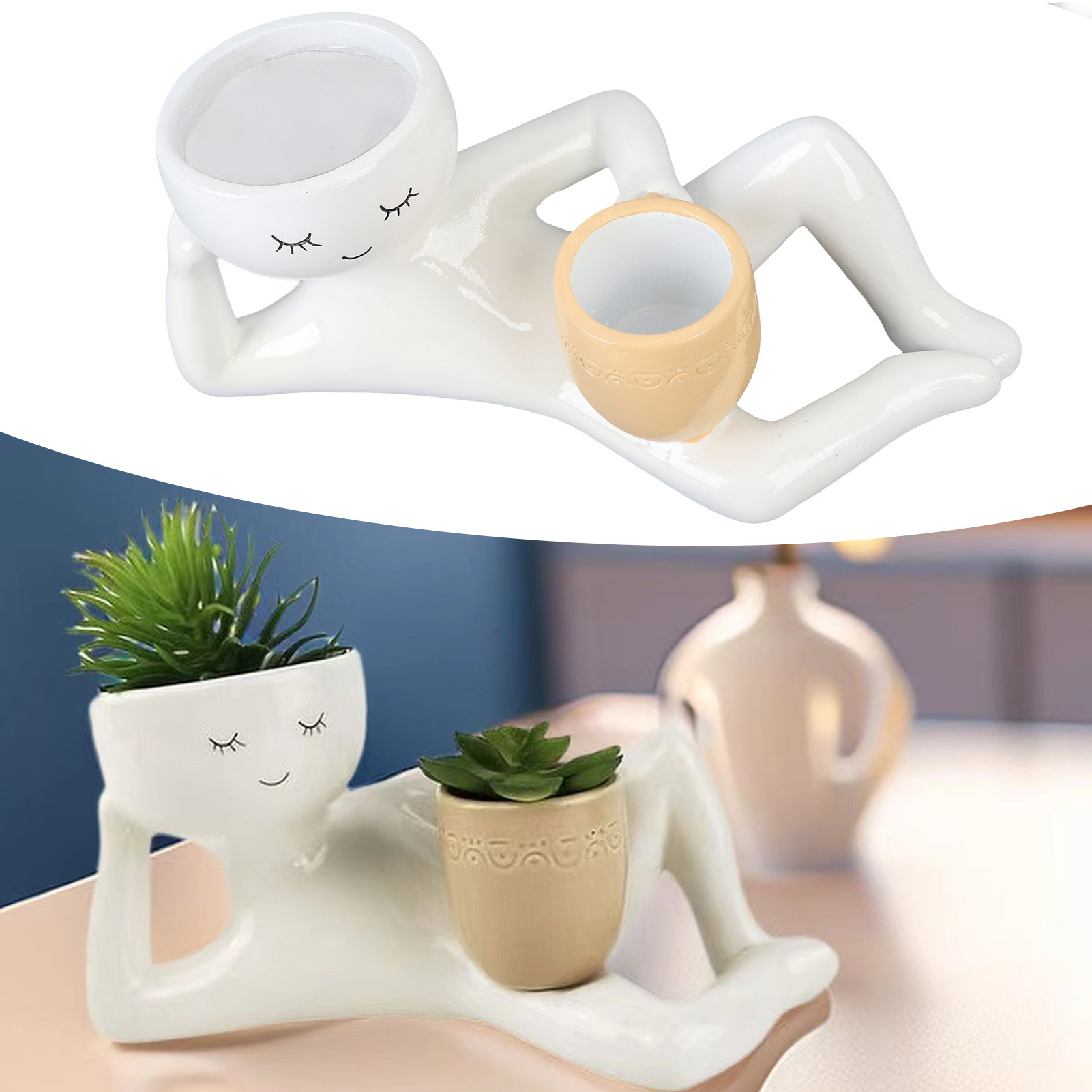 Sukkulenten-Topf, kreativer, a – Succulent Set Bewertung und Preis