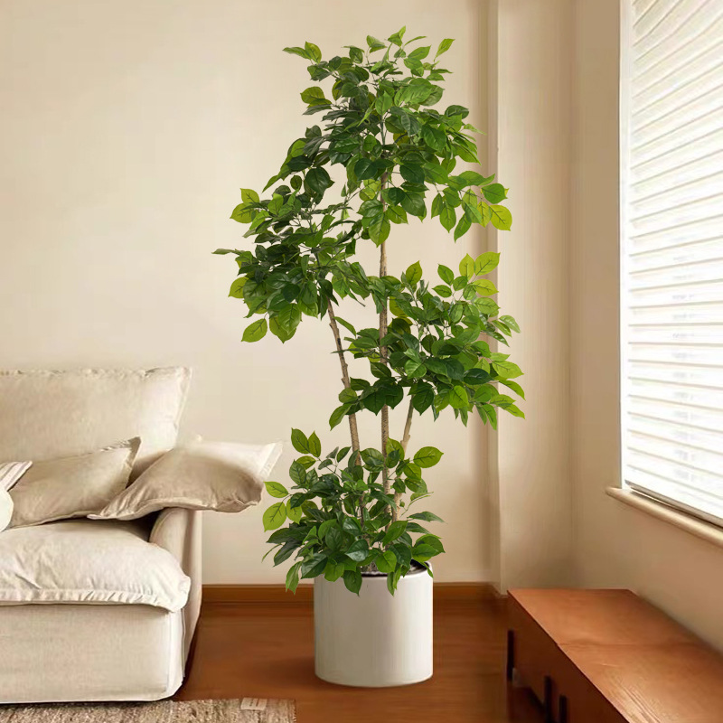 2-78 Zoll große gefälschte Pfl – Fiddle Leaf Fig Bewertung und Preis
