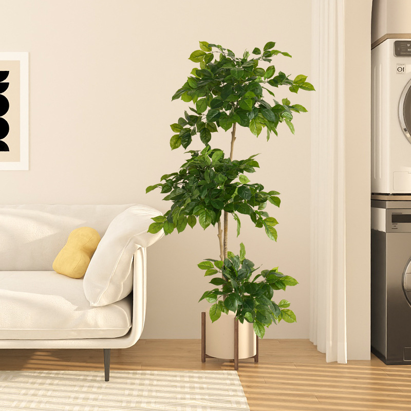 2-78 Zoll große gefälschte Pfl – Fiddle Leaf Fig Bewertung und Preis