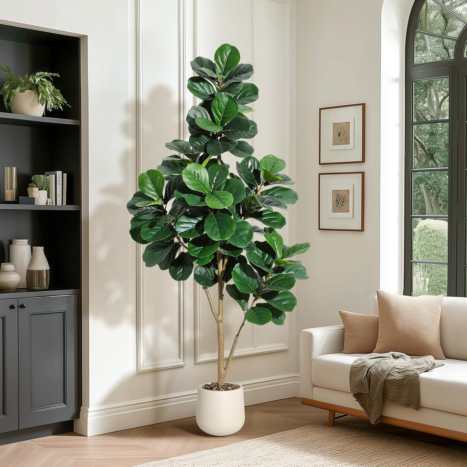 4–7 Fuß Geigenblatt-Feigenbaum – Fiddle Leaf Fig Bewertung und Preis