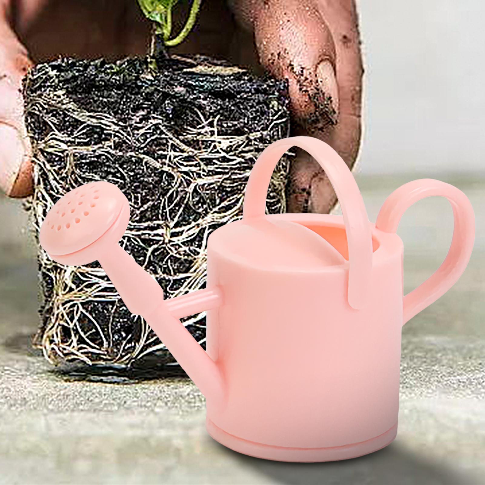 Kleine Gießkanne für Kinder, f – Pothos Bewertung und Preis
