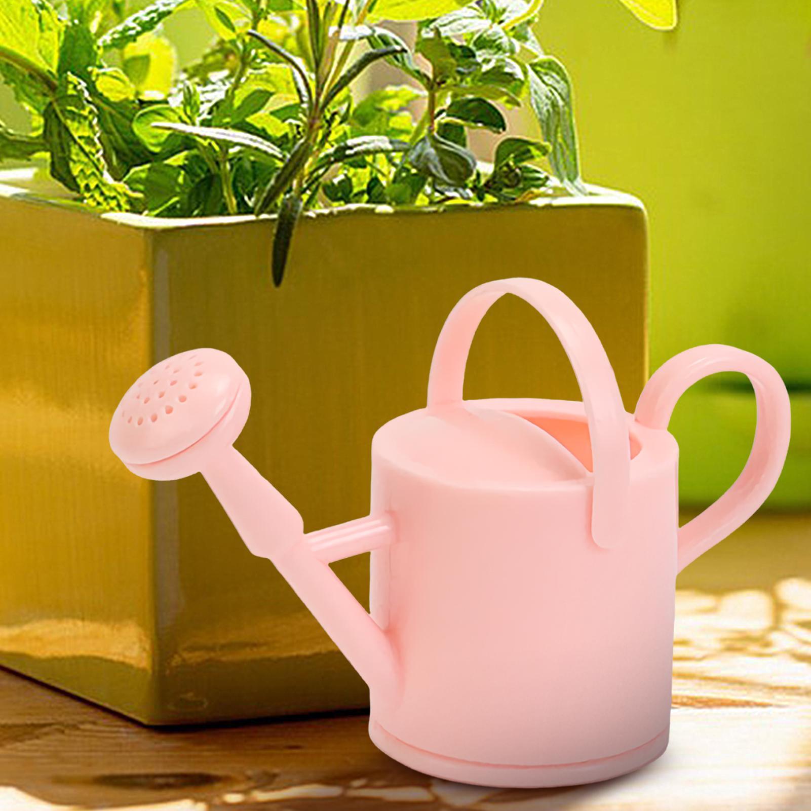 Kleine Gießkanne für Kinder, f – Pothos Bewertung und Preis