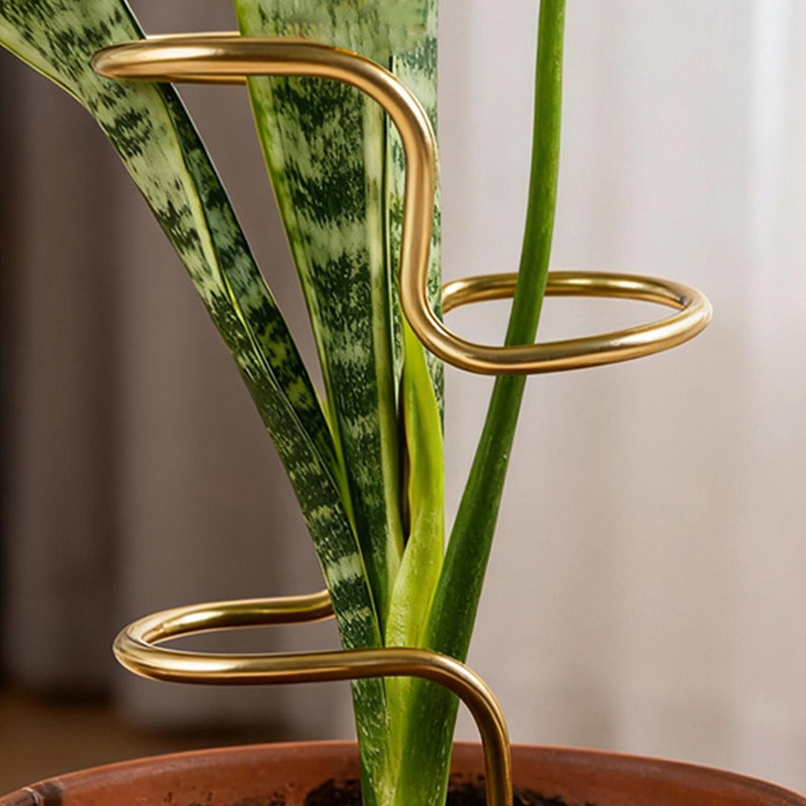 Gartenpflanzen-Stielfixierungs – Plant Support Stake Bewertung und Preis