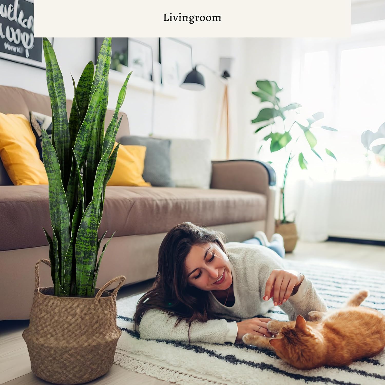 Künstliche Schlangenpflanze, 3 – Snake Plant Bewertung und Preis
