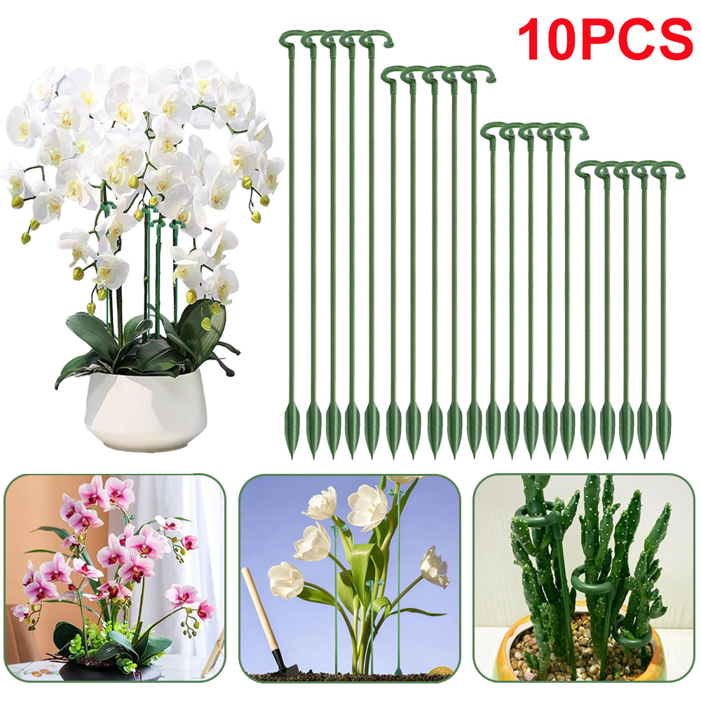 5/10 Stück Pflanzenstützstäbe, – Succulent Set Bewertung und Preis
