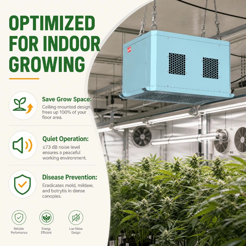 Leistungsstarker Gewächshaus-L – Indoor Plants Bewertung und Preis